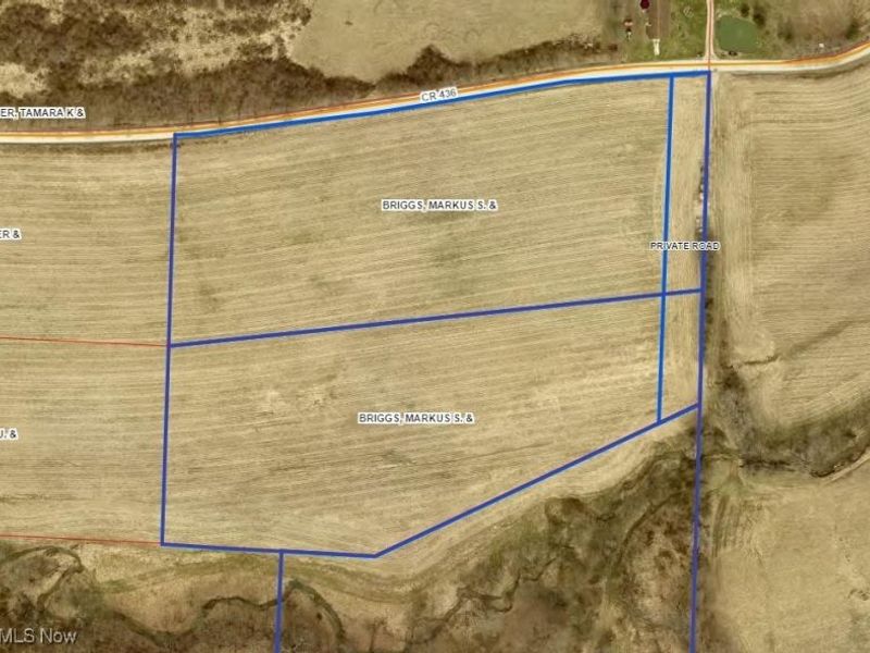 County Road 436, Dresden, OH 43821 Photo 4