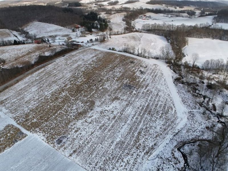 County Road 436, Dresden, OH 43821 Photo 5