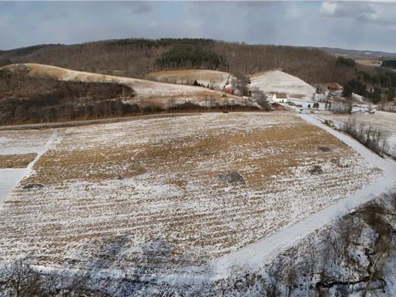 County Road 436, Dresden, OH 43821 Photo 6