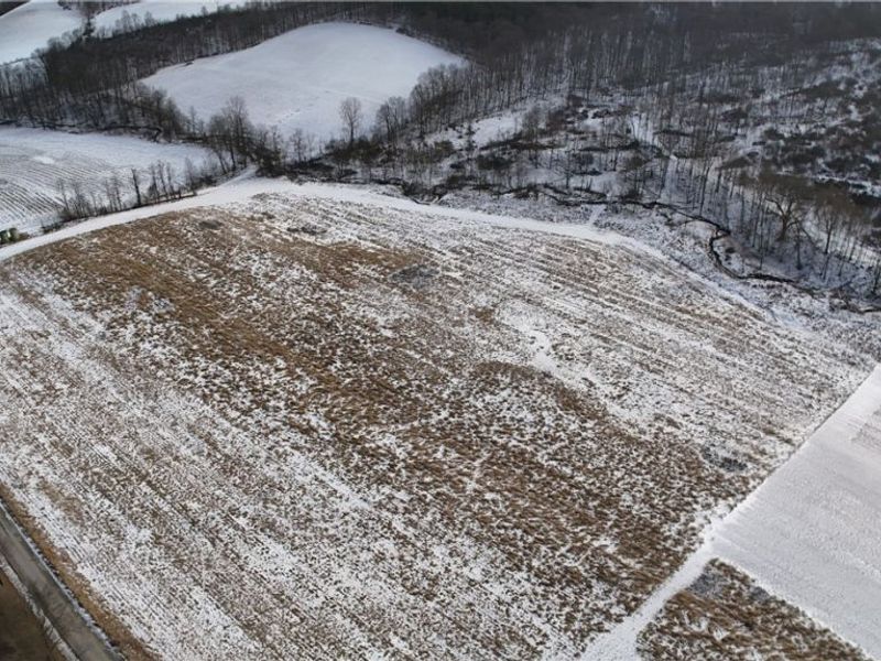 County Road 436, Dresden, OH 43821 Photo 7