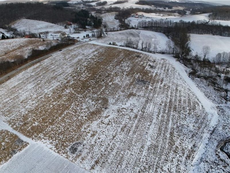 County Road 436, Dresden, OH 43821 Photo 9