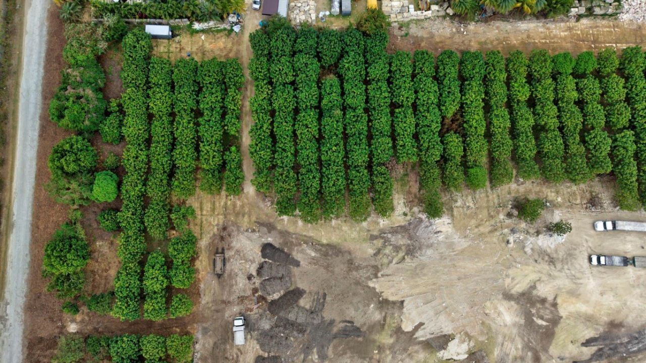 Sw 212th Avenue, Homestead, FL 33034 Photo