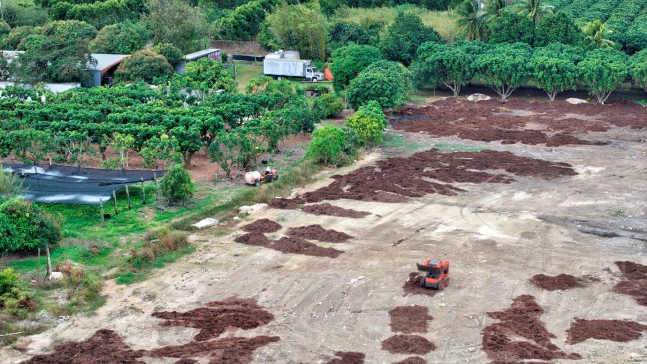 Sw 212th Avenue, Homestead, FL 33034 Photo