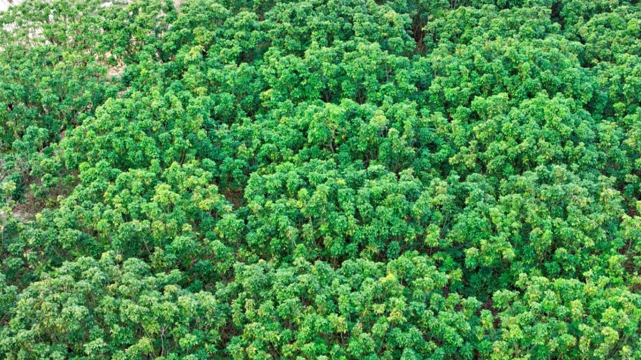 Sw 212th Avenue, Homestead, FL 33034 Photo