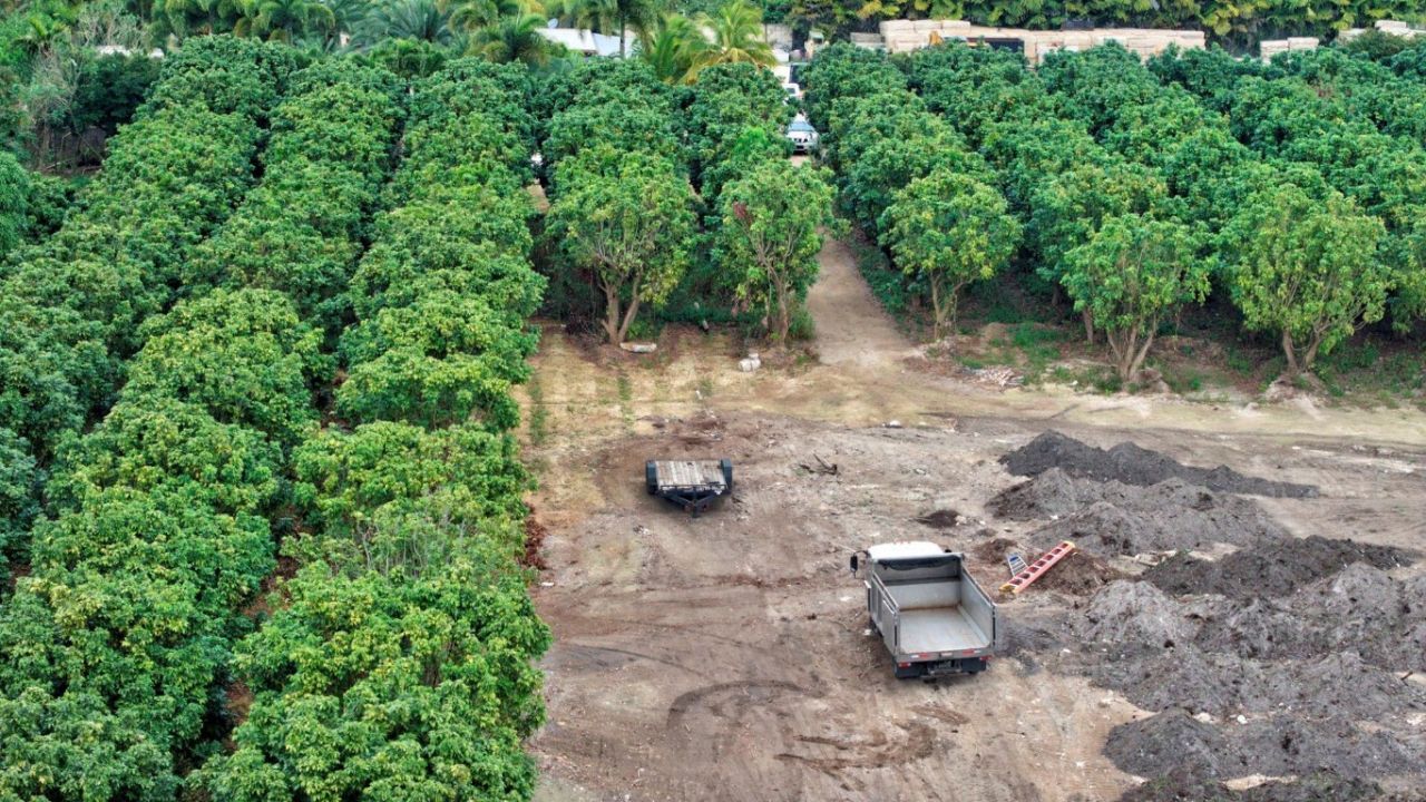 Sw 212th Avenue, Homestead, FL 33034 Photo