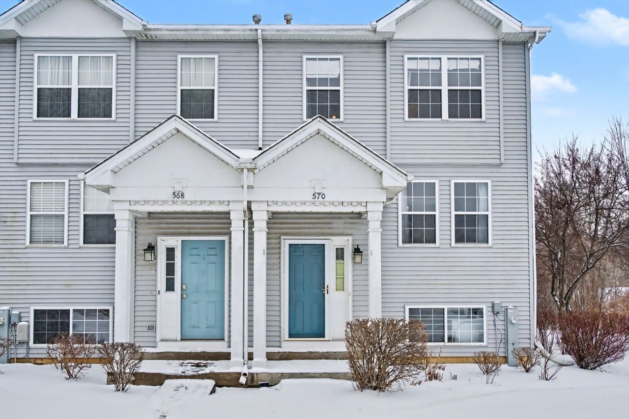 570 N Triumph Court, Hainesville, IL 60073 Main Photo