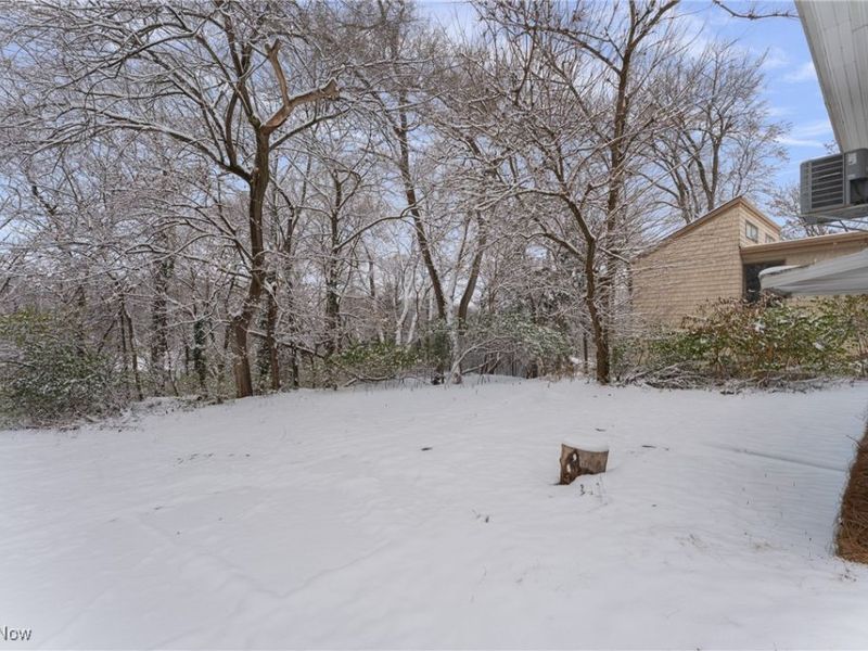 1817 Fulton Road, Canton, OH 44709 Photo 4