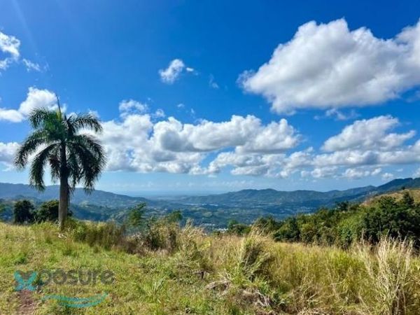 561 CARR, Villalba, PR 00766