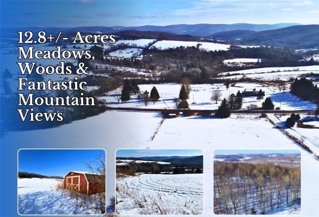 Lot 41-42 Hamden Hill Road, Hamden, NY 13782 Main Photo