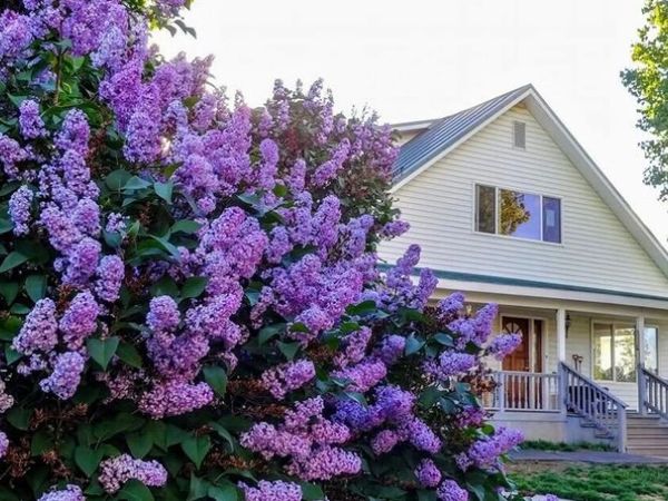 39042 Clover Flat Road, Paisley, OR 97636