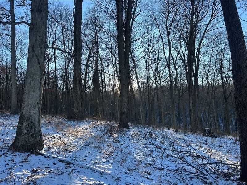 Jug Run Rd, Walhonding, OH 43822 Photo 10