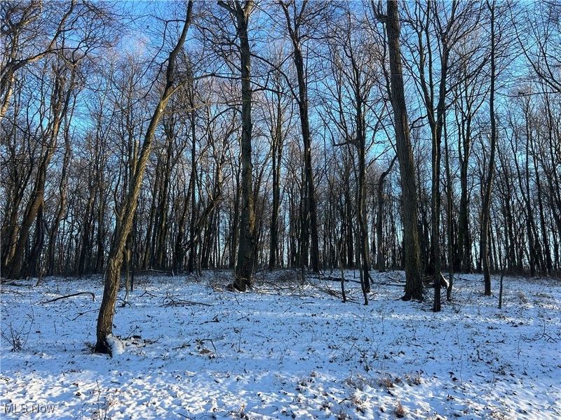 Jug Run Rd, Walhonding, OH 43822 Photo 11