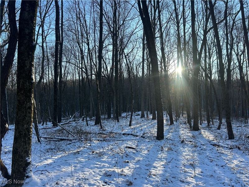 Jug Run Rd, Walhonding, OH 43822 Photo 12