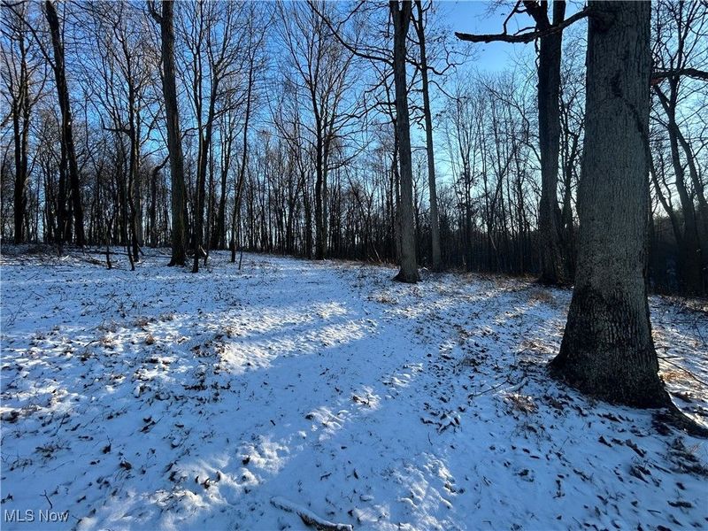 Jug Run Rd, Walhonding, OH 43822 Photo 13