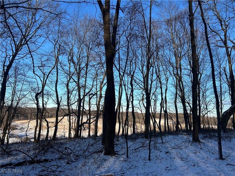 Jug Run Rd, Walhonding, OH 43822 Photo 14