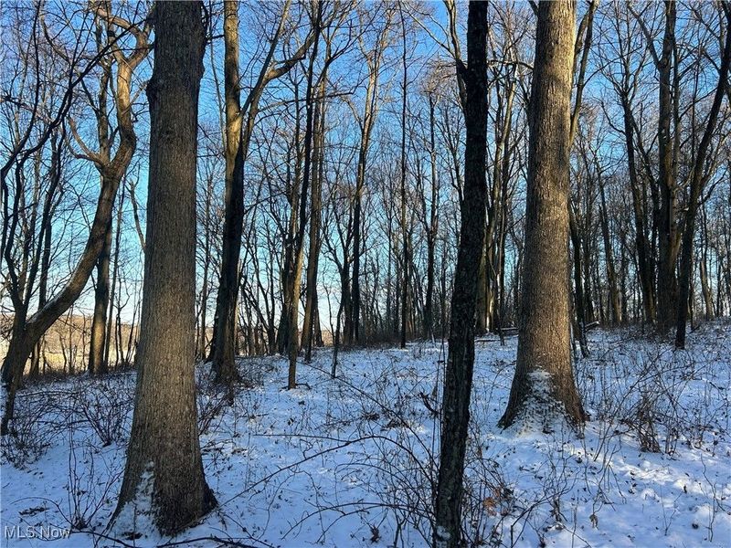 Jug Run Rd, Walhonding, OH 43822 Photo 15