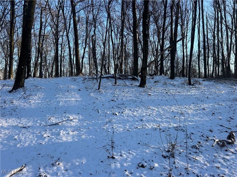 Jug Run Rd, Walhonding, OH 43822 Photo 17