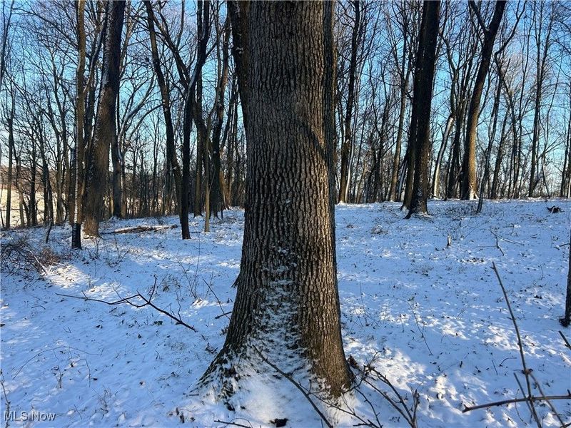 Jug Run Rd, Walhonding, OH 43822 Photo 18