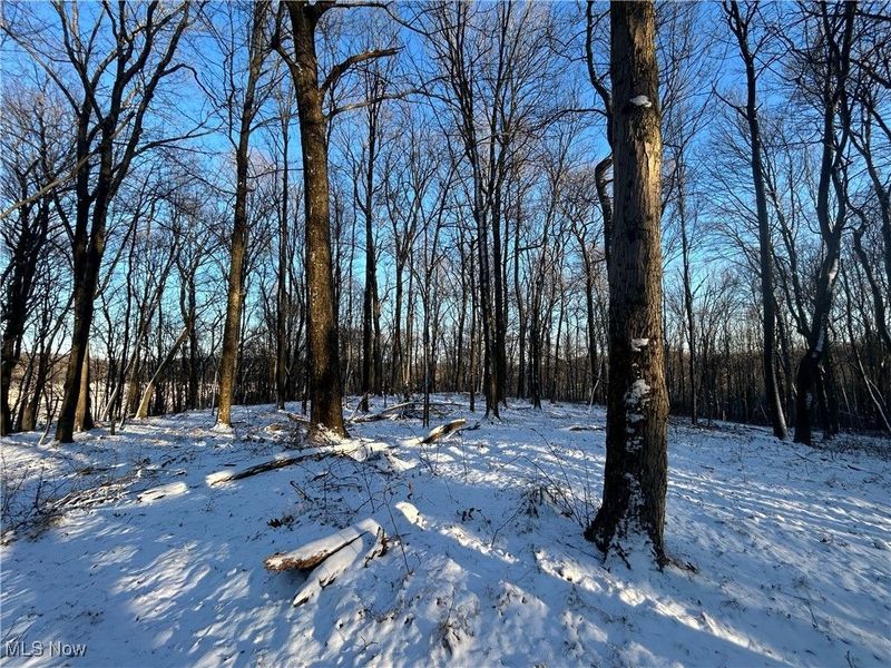 Jug Run Rd, Walhonding, OH 43822 Photo 19