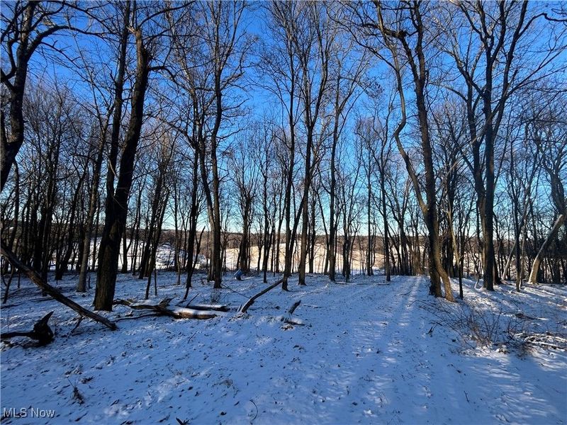 Jug Run Rd, Walhonding, OH 43822 Photo 20