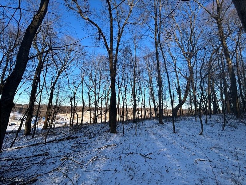 Jug Run Rd, Walhonding, OH 43822 Photo 4