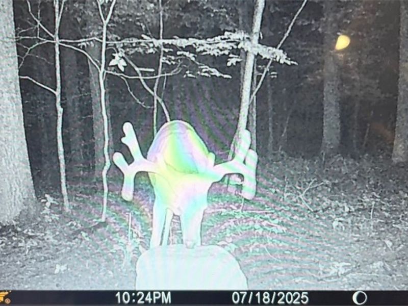 Jug Run Rd, Walhonding, OH 43822 Photo 46