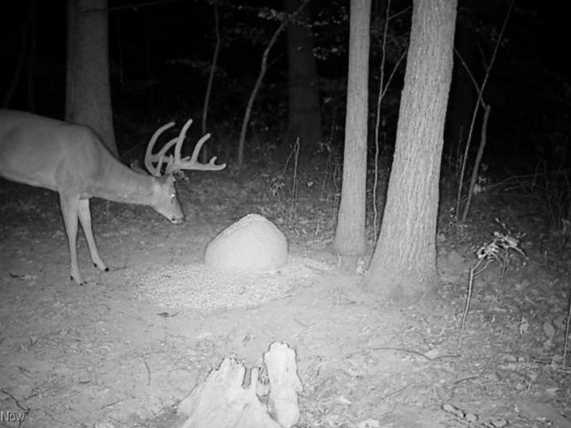 Jug Run Rd, Walhonding, OH 43822 Photo 47