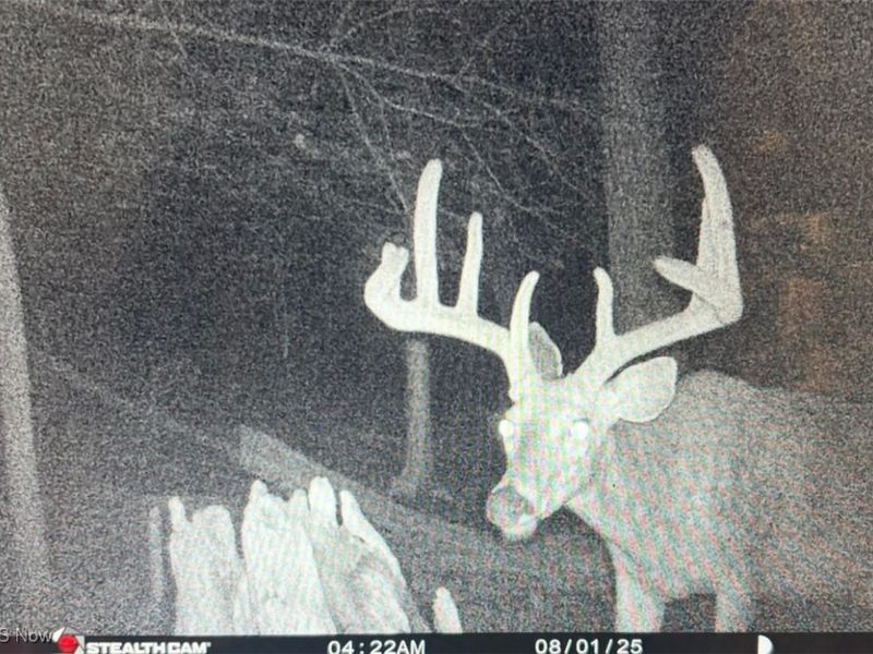 Jug Run Rd, Walhonding, OH 43822 Photo 8