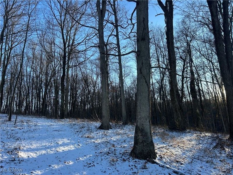 Jug Run Rd, Walhonding, OH 43822 Photo 9