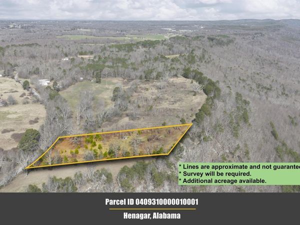 Lot 1 County Road 730, Henagar, AL 35978