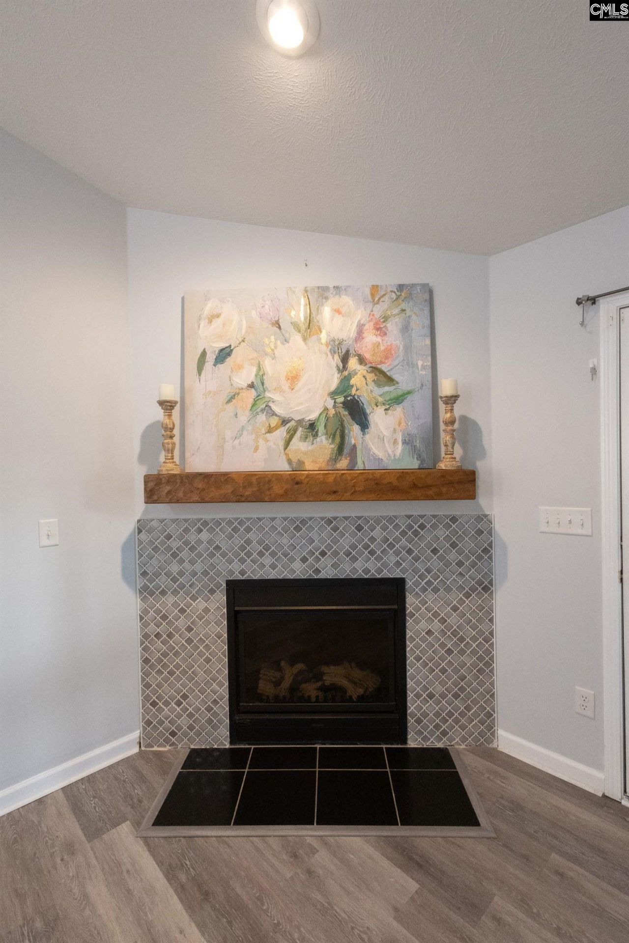 120 Deerchase Lane  Photo 9