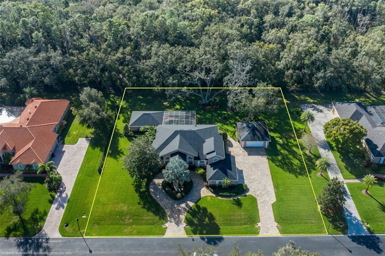 1226 Oak Meadow Point, New Port Richey, FL 34655 Photo