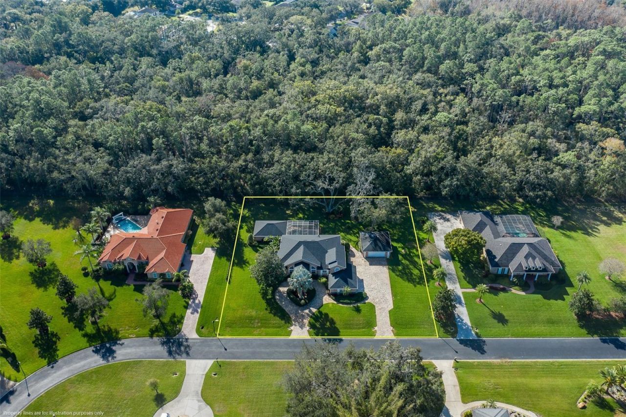 1226 Oak Meadow Point, New Port Richey, FL 34655 Photo