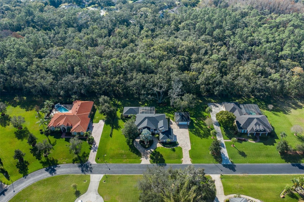 1226 Oak Meadow Point, New Port Richey, FL 34655 Photo