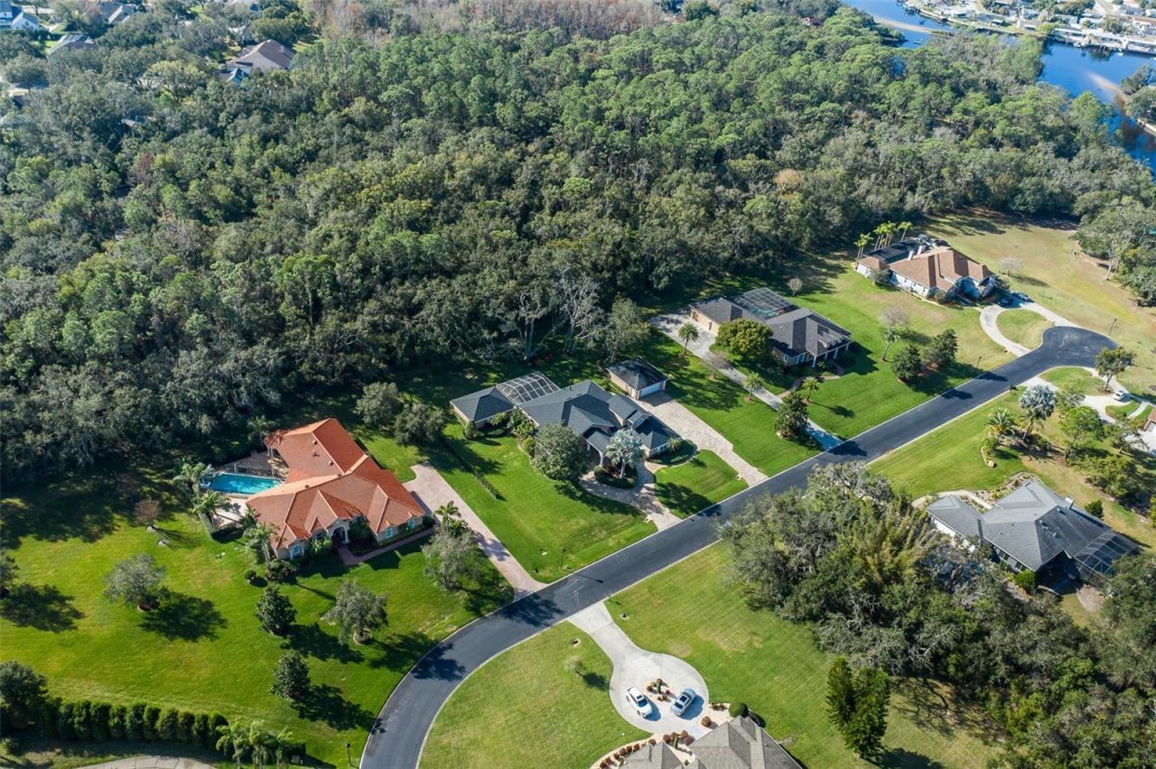 1226 Oak Meadow Point, New Port Richey, FL 34655 Photo