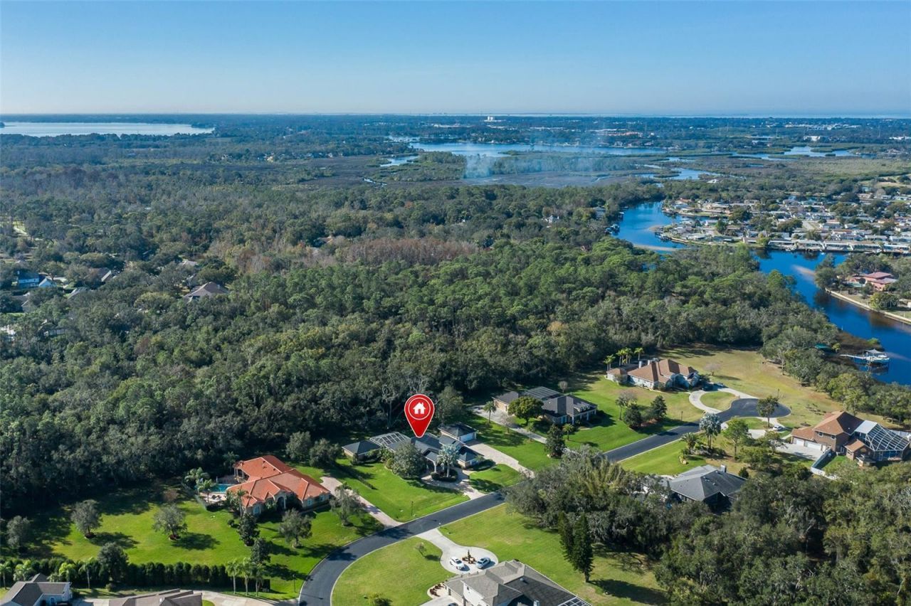 1226 Oak Meadow Point, New Port Richey, FL 34655 Photo