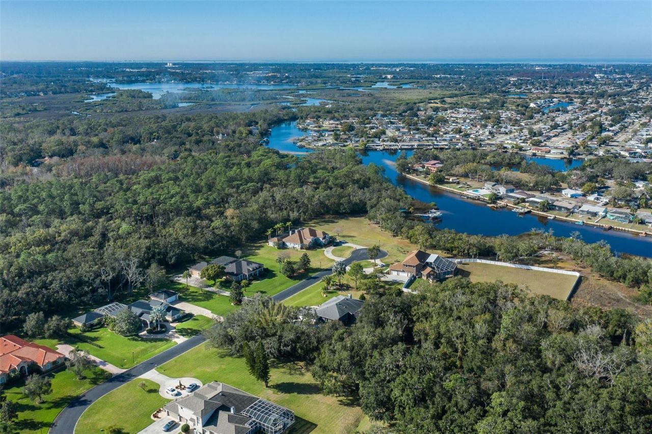 1226 Oak Meadow Point, New Port Richey, FL 34655 Photo