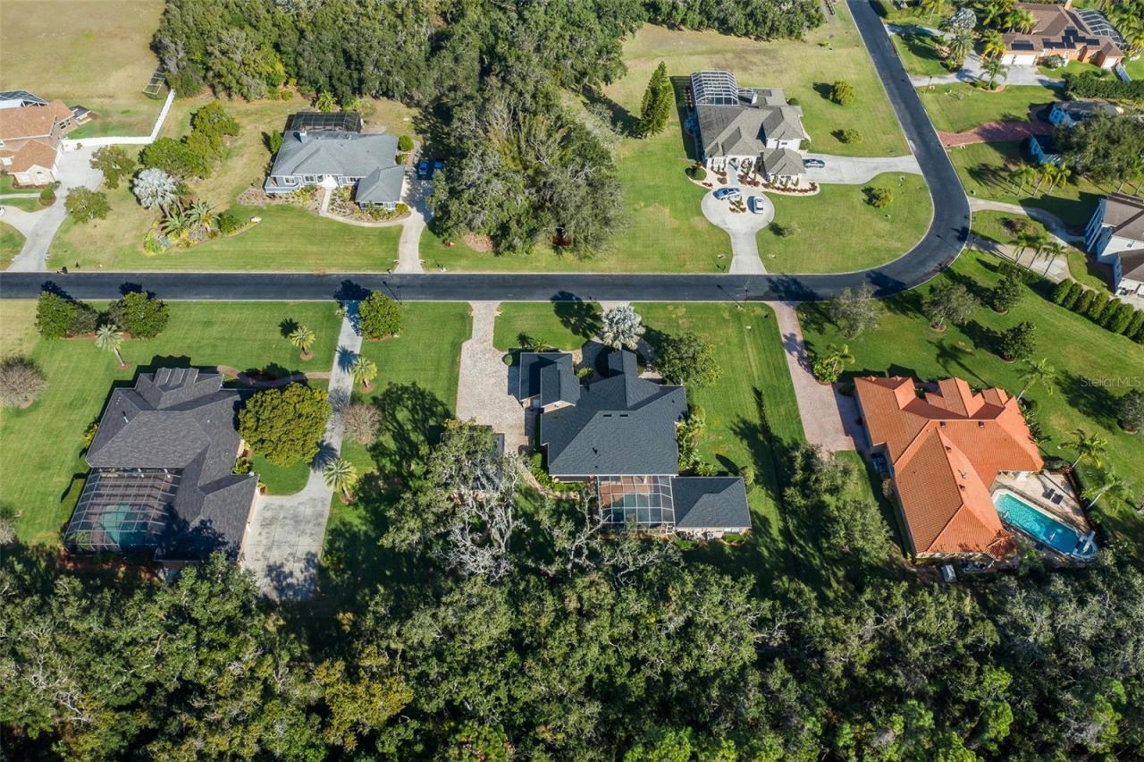 1226 Oak Meadow Point, New Port Richey, FL 34655 Photo