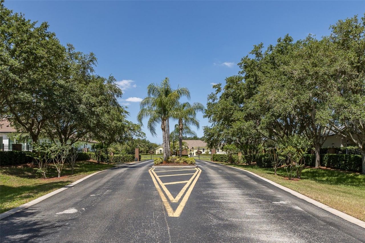 1226 Oak Meadow Point, New Port Richey, FL 34655 Photo