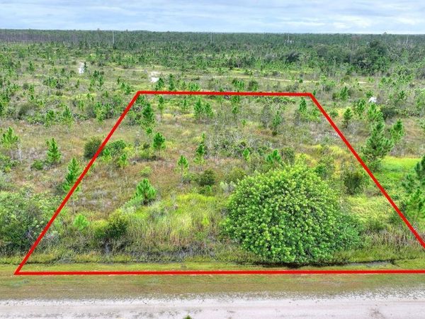 ALTHEA DRIVE, INDIAN LAKE ESTATES, FL 33855