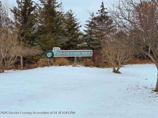 101 Daggertail Lane, Okemos, MI 48864