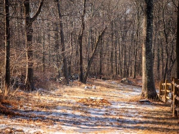 0 Belcher, Essex, MA 01929