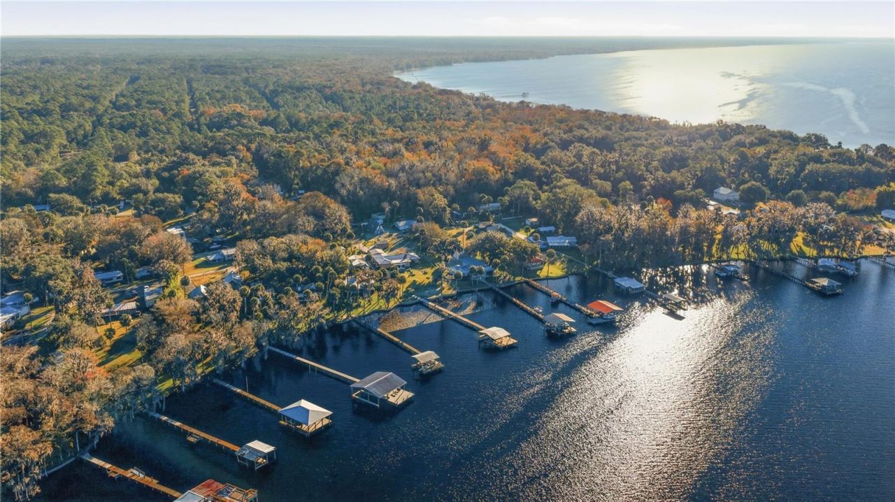 118 Driftwood Lane, Georgetown, FL 32139 Photo