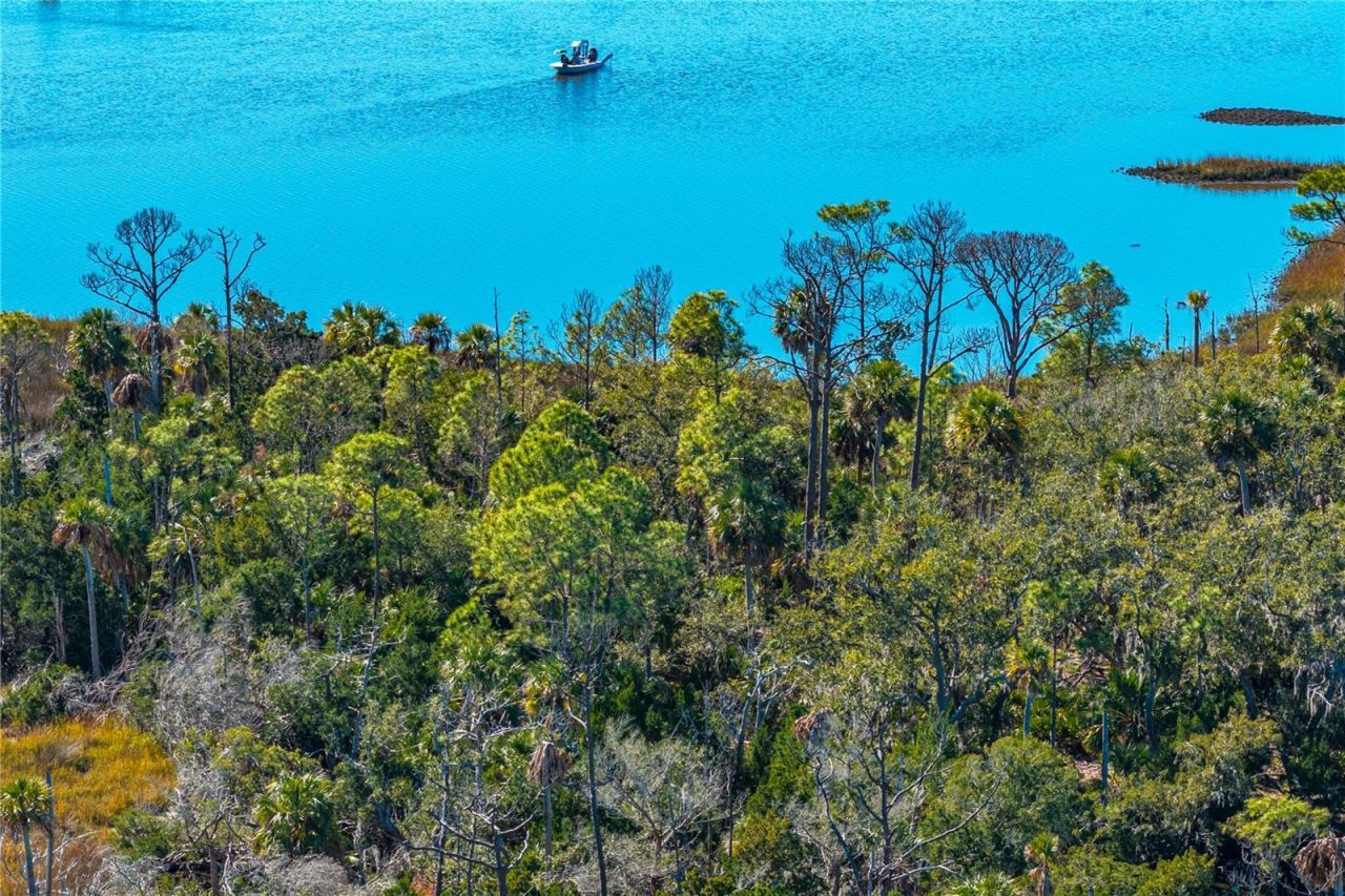 Clark Island, Cedar Key, FL 32625 Photo