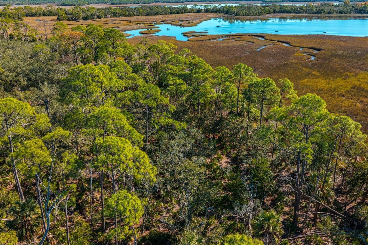 Clark Island, Cedar Key, FL 32625 Photo