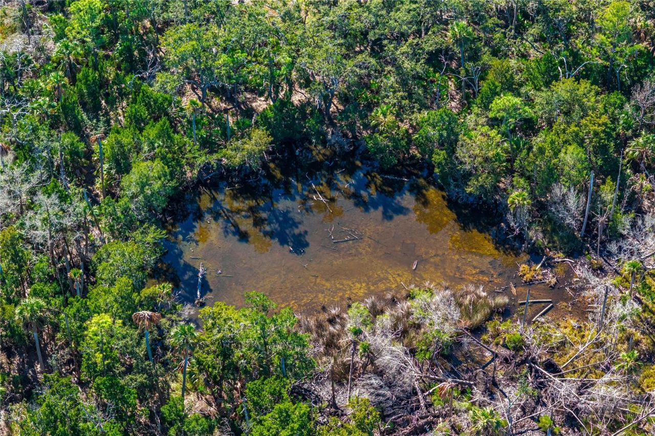 Clark Island, Cedar Key, FL 32625 Photo
