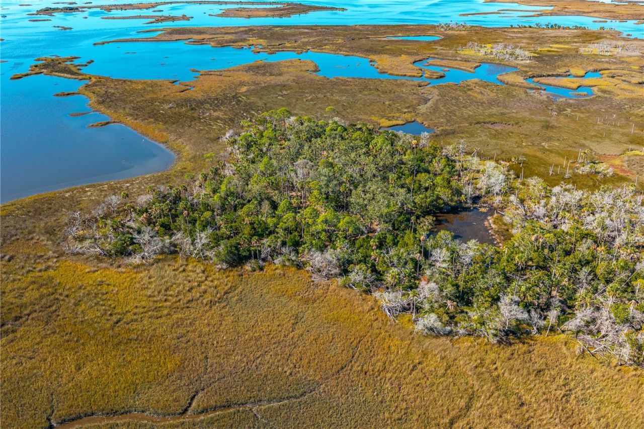 Clark Island, Cedar Key, FL 32625 Photo