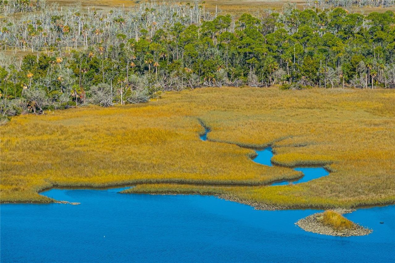Clark Island, Cedar Key, FL 32625 Photo