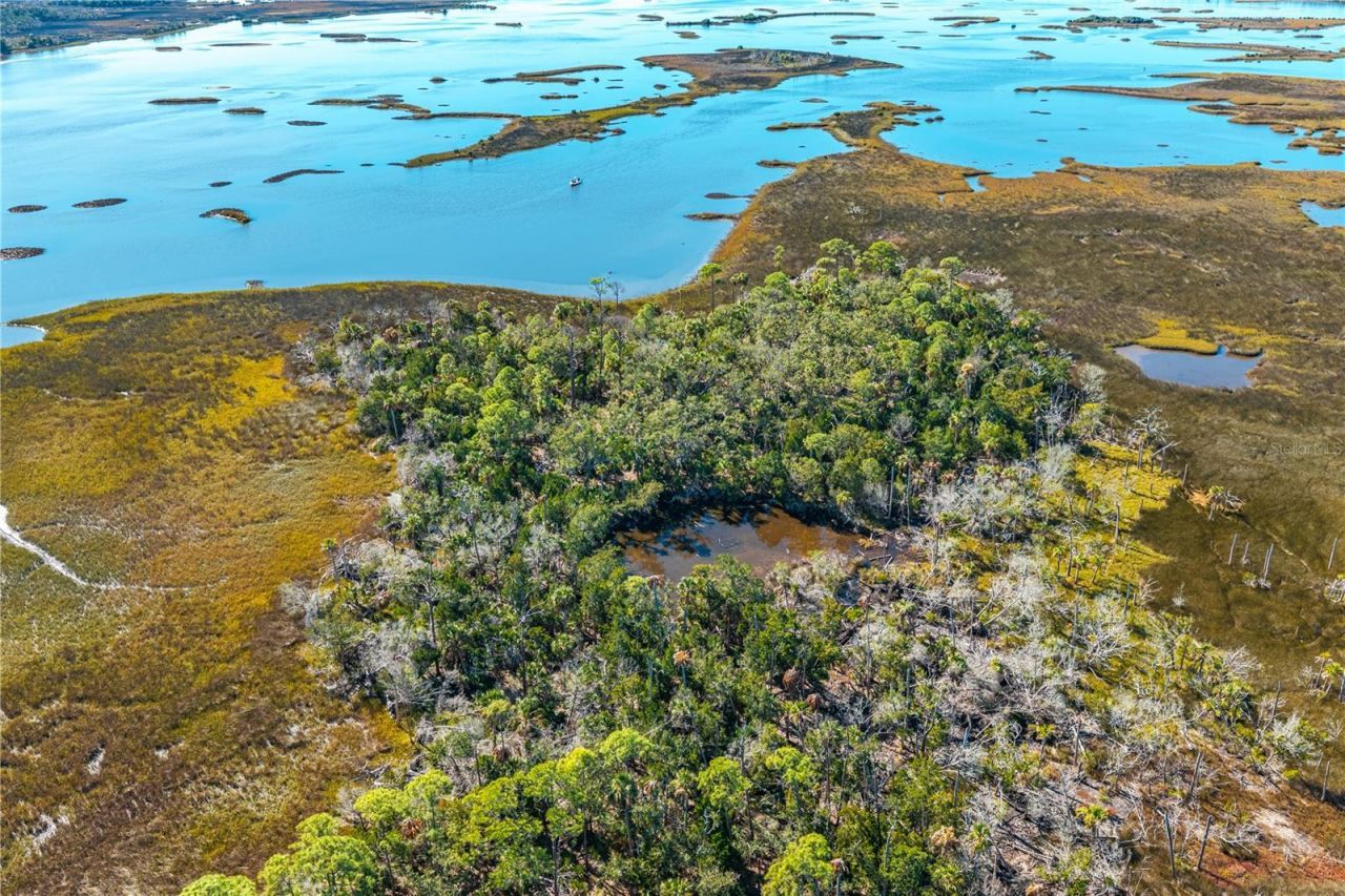 Clark Island, Cedar Key, FL 32625 Photo