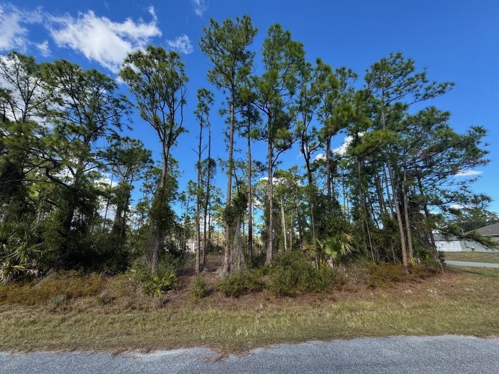 Tba Sturrup Street, North Port, FL 34291 Photo